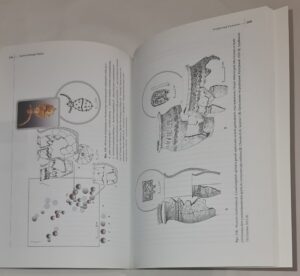 Ziemie Górnego Śląska od epoki kamienia do wczesnego średniowiecza