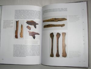 Bliskie, lecz z dalekiego świata