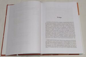 Kant i Hegel w sporach filozoficznych osiemnastego i dziewiętnastego wieku