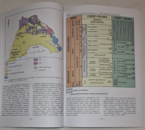Charakterystyka epigenetycznych zmian węgla w pokładach w strefach uskokowych Górnośląskiego Zagłębia Węglowego