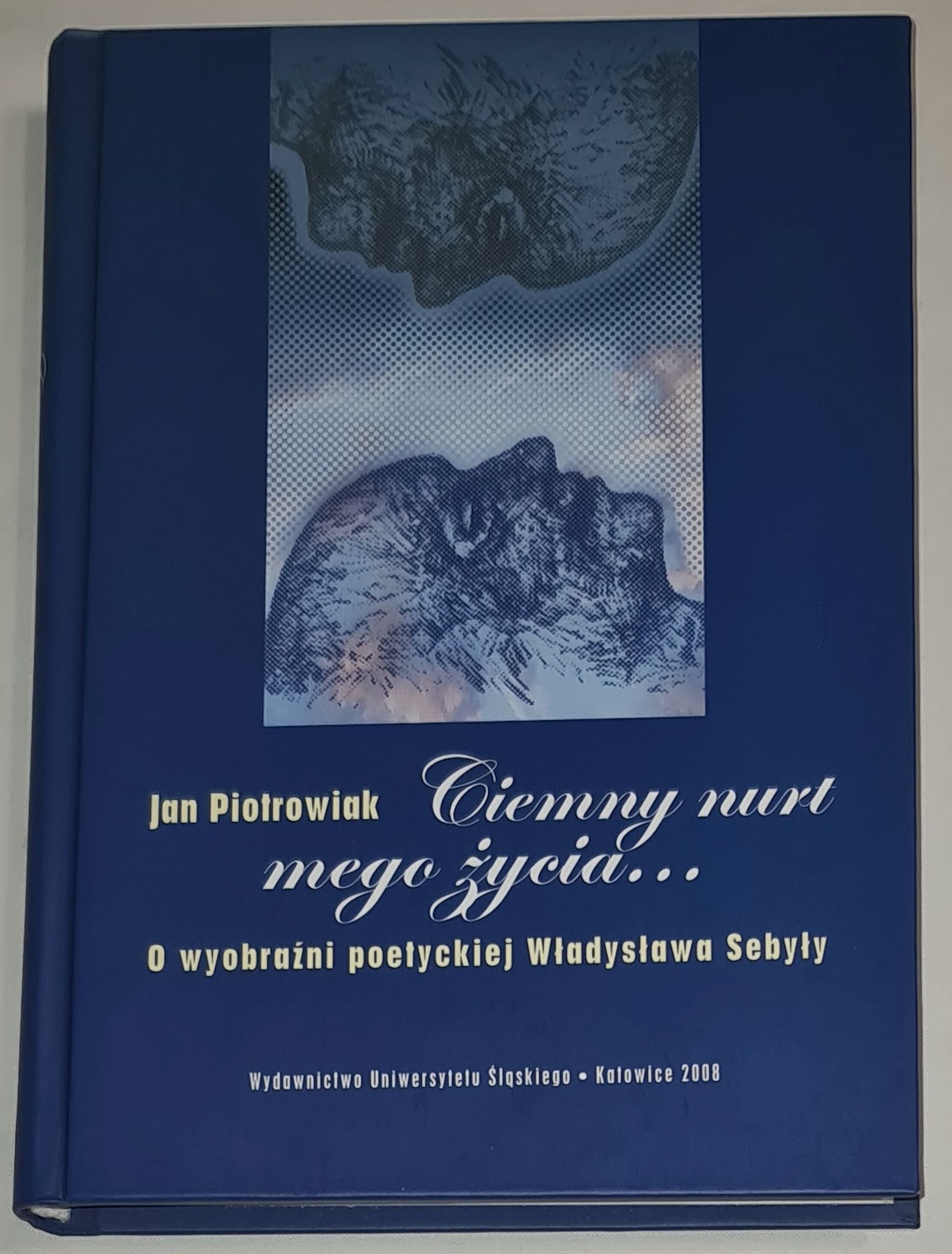 „Ciemny nurt mego życia...”. O wyobraźni poetyckiej Władysława Sebyły