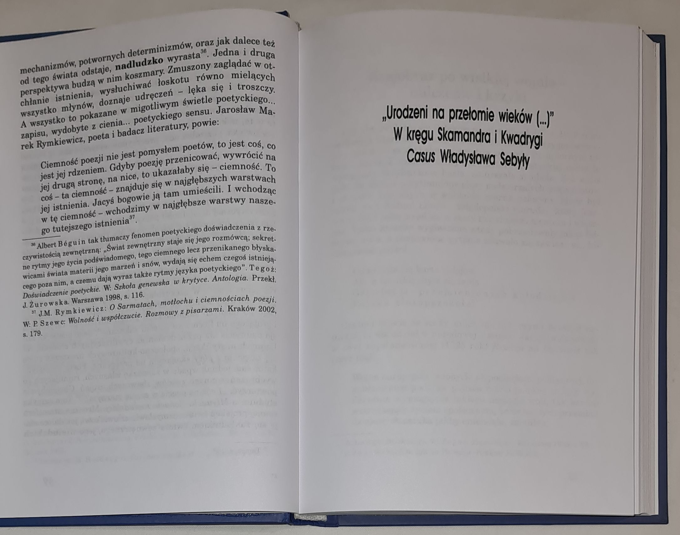 „Ciemny nurt mego życia...”. O wyobraźni poetyckiej Władysława Sebyły