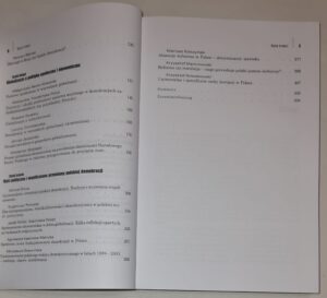 Demokracja w dobie globalizacji. Tom 1. W praktyce politycznej