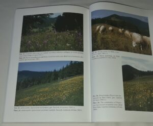 Fitosocjologiczne uwarunkowania ochrony przyrody Beskidu Śląskiego (Karpaty Zachodnie)