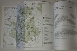 Fitosocjologiczne uwarunkowania ochrony przyrody Beskidu Śląskiego (Karpaty Zachodnie)
