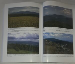 Fitosocjologiczne uwarunkowania ochrony przyrody Beskidu Śląskiego (Karpaty Zachodnie)
