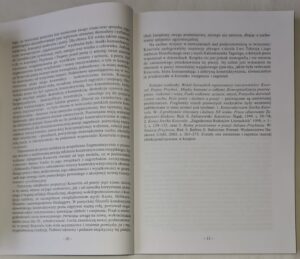 Między destrukcją a konstrukcją. O poezji Srečka Kosovela w kontekście konstruktywistycznym