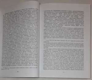 Polski ruch zawodowy w województwie śląskim (1922-1939). Oblicze polityczne