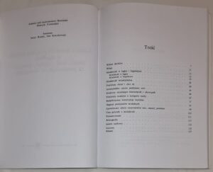 Polskie i słoweńskie predykaty modalne o znaczeniu ‘chcieć’, ‘móc’, ‘musieć’, ‘powinien’, na poszerzonym tle słowiańskim