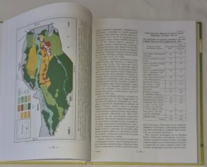 Relacje między roślinnością i glebą w inicjalnej fazie sukcesji na obszarach piaszczystych