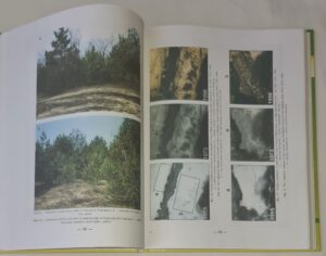 Relacje między roślinnością i glebą w inicjalnej fazie sukcesji na obszarach piaszczystych