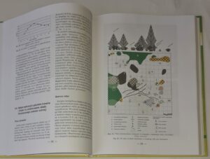 Relacje między roślinnością i glebą w inicjalnej fazie sukcesji na obszarach piaszczystych