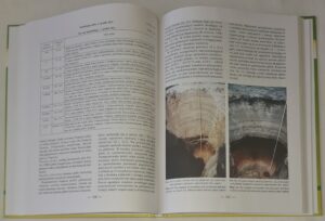 Relacje między roślinnością i glebą w inicjalnej fazie sukcesji na obszarach piaszczystych