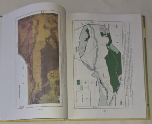 Relacje między roślinnością i glebą w inicjalnej fazie sukcesji na obszarach piaszczystych