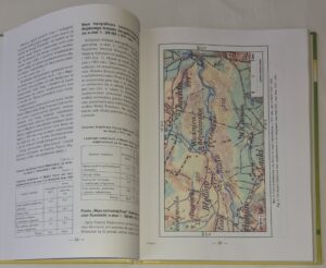 Relacje między roślinnością i glebą w inicjalnej fazie sukcesji na obszarach piaszczystych