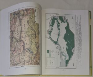Relacje między roślinnością i glebą w inicjalnej fazie sukcesji na obszarach piaszczystych