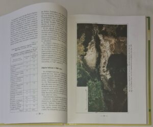 Relacje między roślinnością i glebą w inicjalnej fazie sukcesji na obszarach piaszczystych