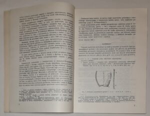 Cmentarzysko kultury łużyckiej w Łabędach-Przyszówce pow. Gliwice