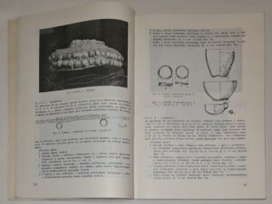 Cmentarzysko kultury łużyckiej w Łabędach-Przyszówce pow. Gliwice