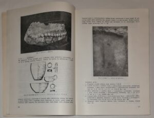 Cmentarzysko kultury łużyckiej w Łabędach-Przyszówce pow. Gliwice