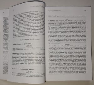 Archiwum Powstań Śląskich. Seria 1, T. 2, Okres drugiego powstania 1920 roku