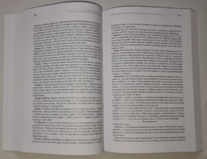 Archiwum Powstań Śląskich. Seria 1, T. 2, Okres drugiego powstania 1920 roku