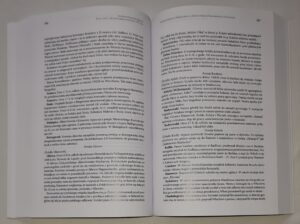 Archiwum Powstań Śląskich. Seria 1, T. 2, Okres drugiego powstania 1920 roku