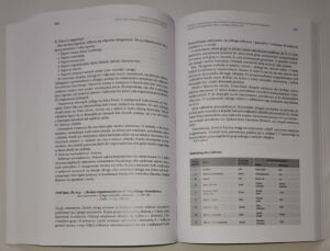 Archiwum Powstań Śląskich. Seria 1, T. 2, Okres drugiego powstania 1920 roku