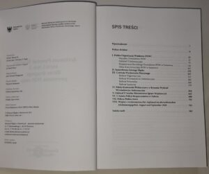 Archiwum Powstań Śląskich. Seria 1, T. 2, Okres drugiego powstania 1920 roku