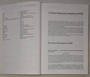 Archiwum Powstań Śląskich. Seria 1, T. 2, Okres drugiego powstania 1920 roku