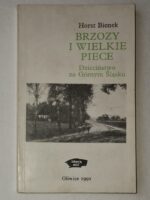 Brzozy i wielkie piece. Dzieciństwo na Górnym Śląsku
