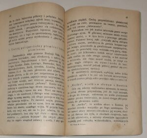 Polska Misja w Afryce. Prefektura Apostolska Brokenhill