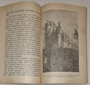 Polska Misja w Afryce. Prefektura Apostolska Brokenhill
