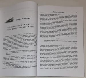 Wielkie tematy literatury amerykańskiej T. III Miasteczka, miasta, metropolie