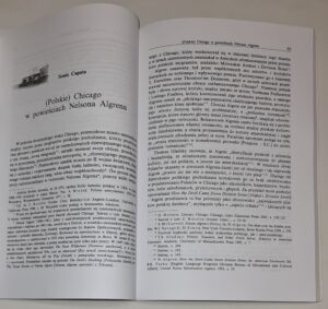 Wielkie tematy literatury amerykańskiej T. III Miasteczka, miasta, metropolie