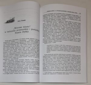 Wielkie tematy literatury amerykańskiej T. III Miasteczka, miasta, metropolie