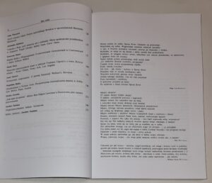 Wielkie tematy literatury amerykańskiej T. III Miasteczka, miasta, metropolie