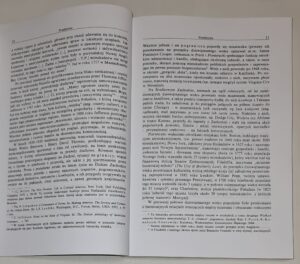 Wielkie tematy literatury amerykańskiej T. III Miasteczka, miasta, metropolie