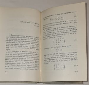 Istota teorii względności
