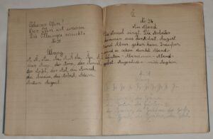 Zeszyty szkolne - zestaw 10 szt - 1 komplet