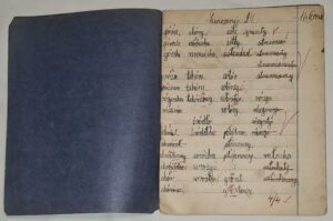 Zeszyty szkolne - zestaw 10 szt - 1 komplet