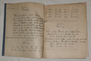 Zeszyty szkolne - zestaw 10 szt - 1 komplet