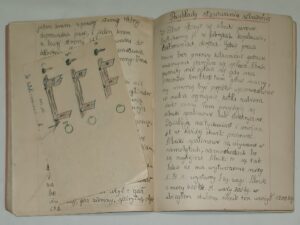 Zeszyty szkolne - zestaw 5 szt - 1 komplet