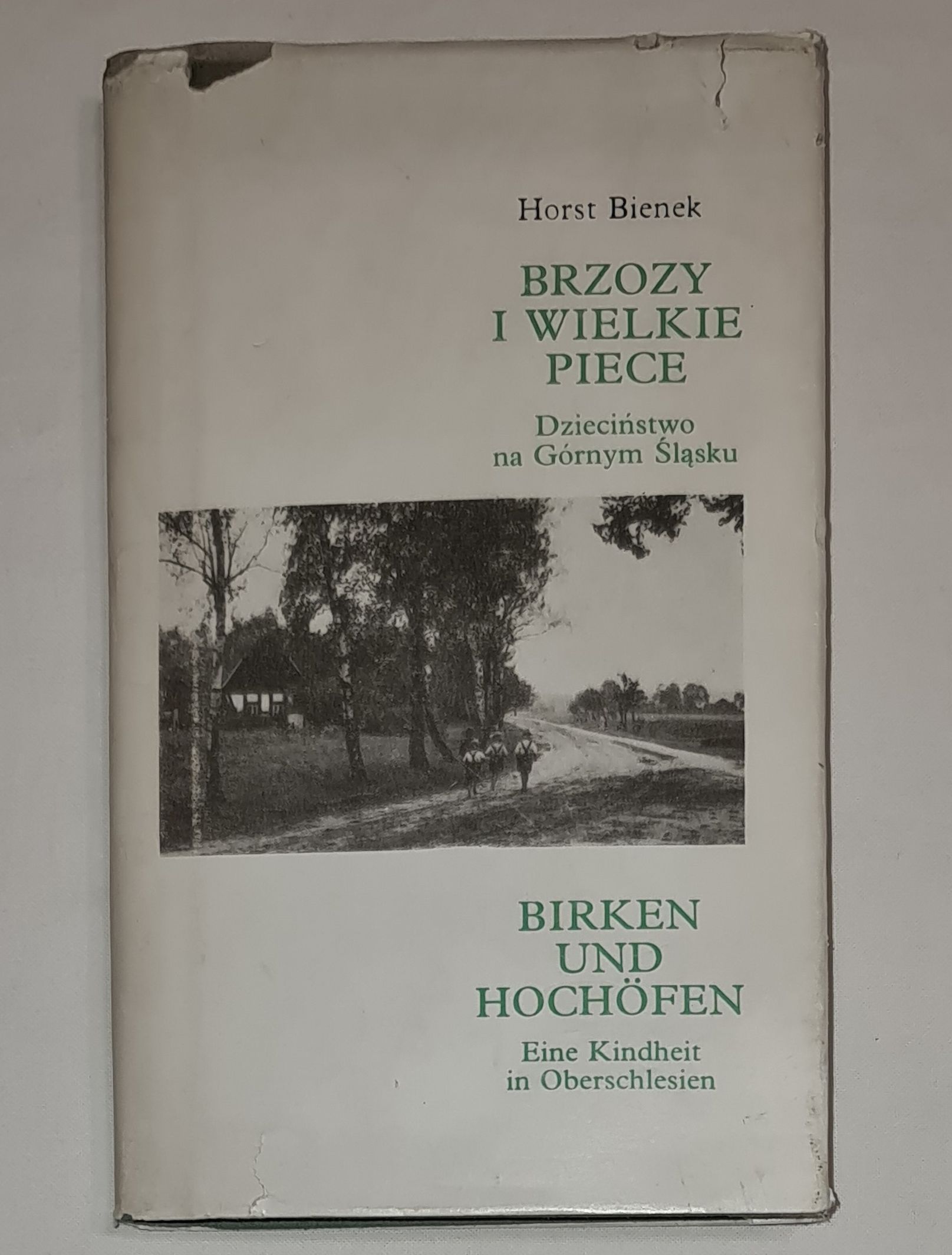 Brzozy i wielkie piece. Dzieciństwo na Górnym Śląsku Birken und Hochöfen. Eine Kindheit in Oberschlesien
