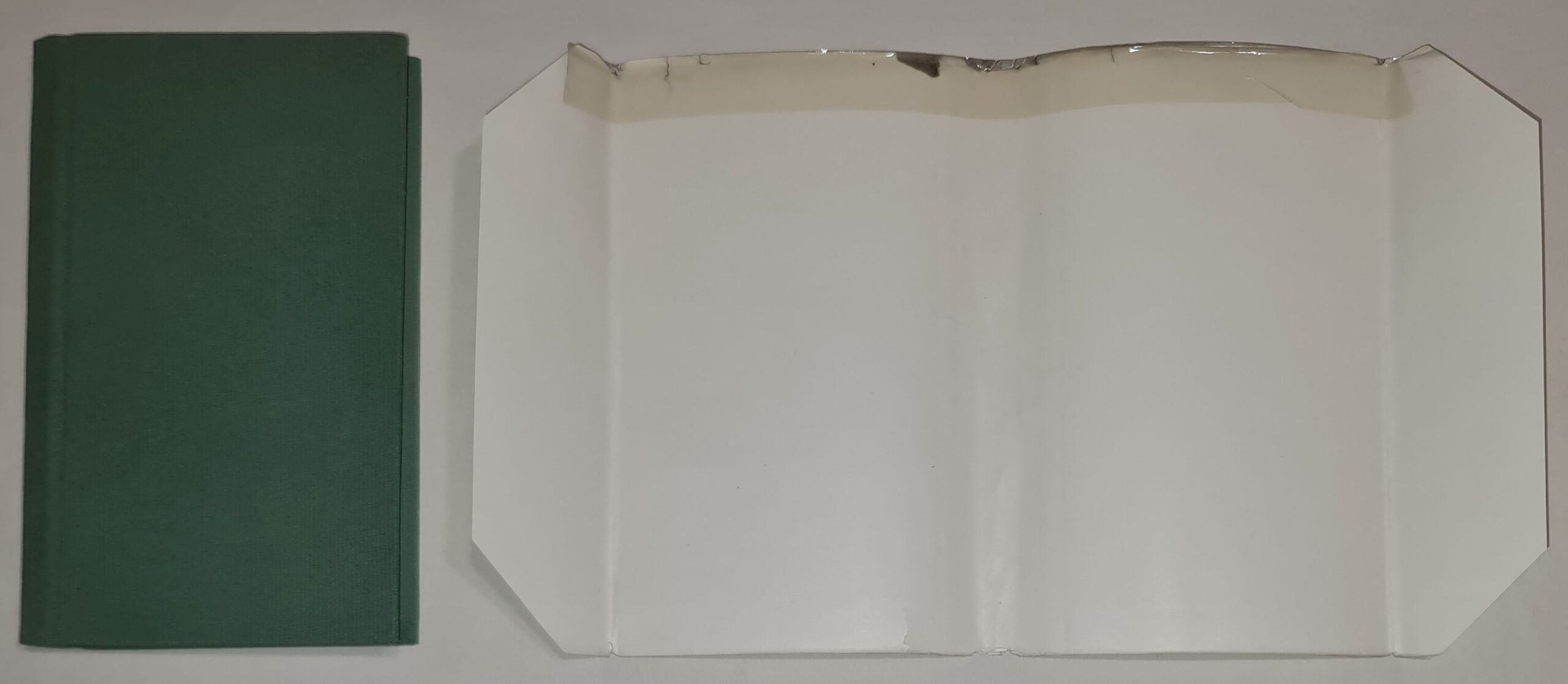 Brzozy i wielkie piece. Dzieciństwo na Górnym Śląsku Birken und Hochöfen. Eine Kindheit in Oberschlesien