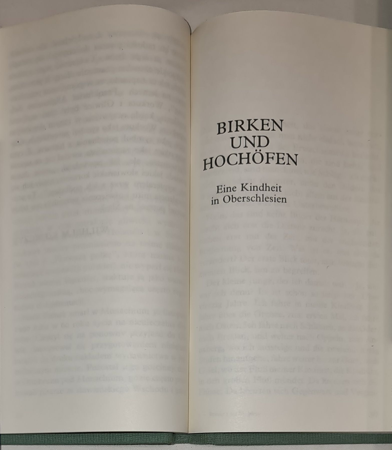 Brzozy i wielkie piece. Dzieciństwo na Górnym Śląsku Birken und Hochöfen. Eine Kindheit in Oberschlesien