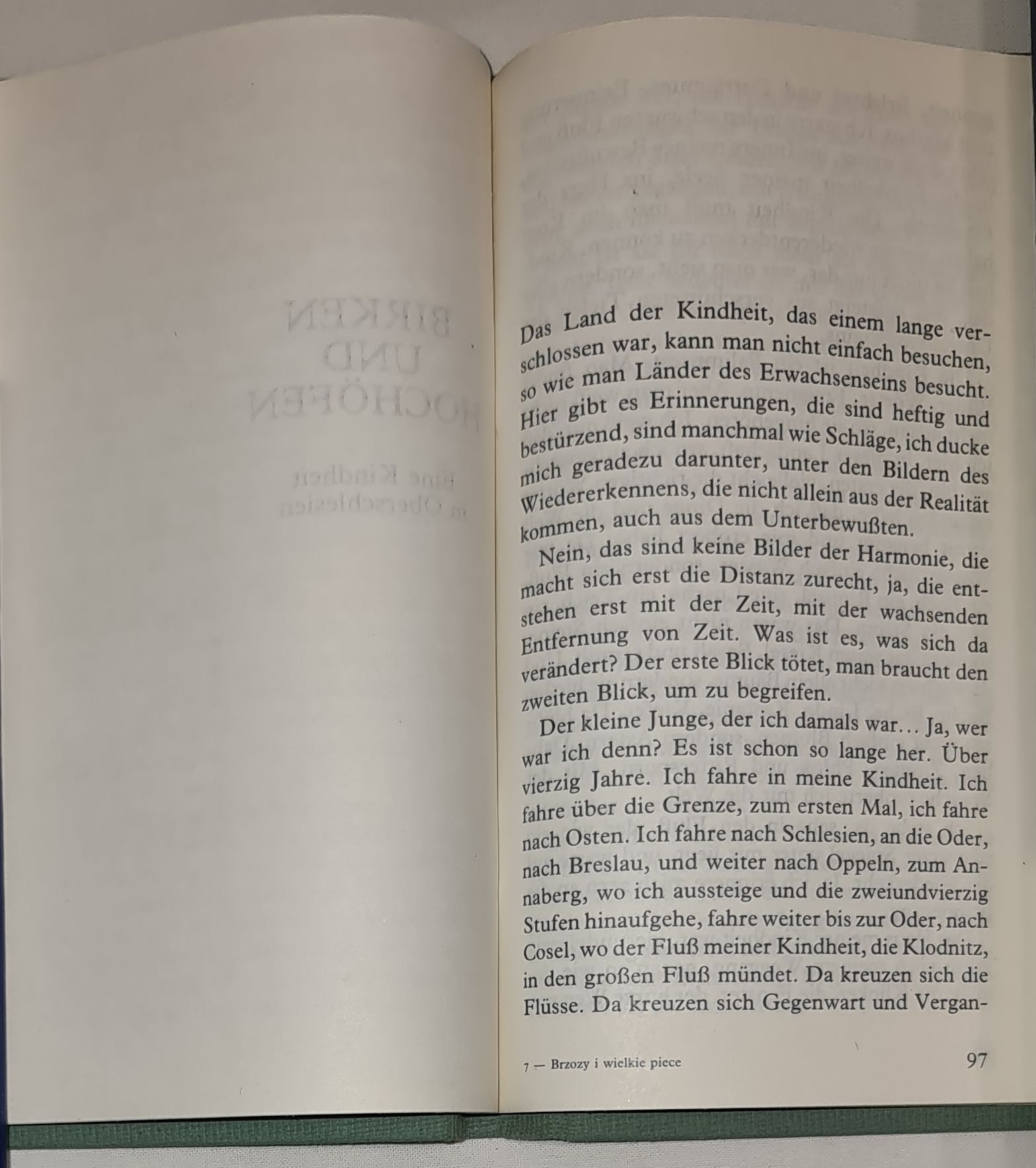 Brzozy i wielkie piece. Dzieciństwo na Górnym Śląsku Birken und Hochöfen. Eine Kindheit in Oberschlesien