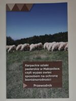 Karpackie szlaki pasterskie w Małopolsce, czyli wypas owiec sposobem na ochronę bioróżnorodności. Przewodnik