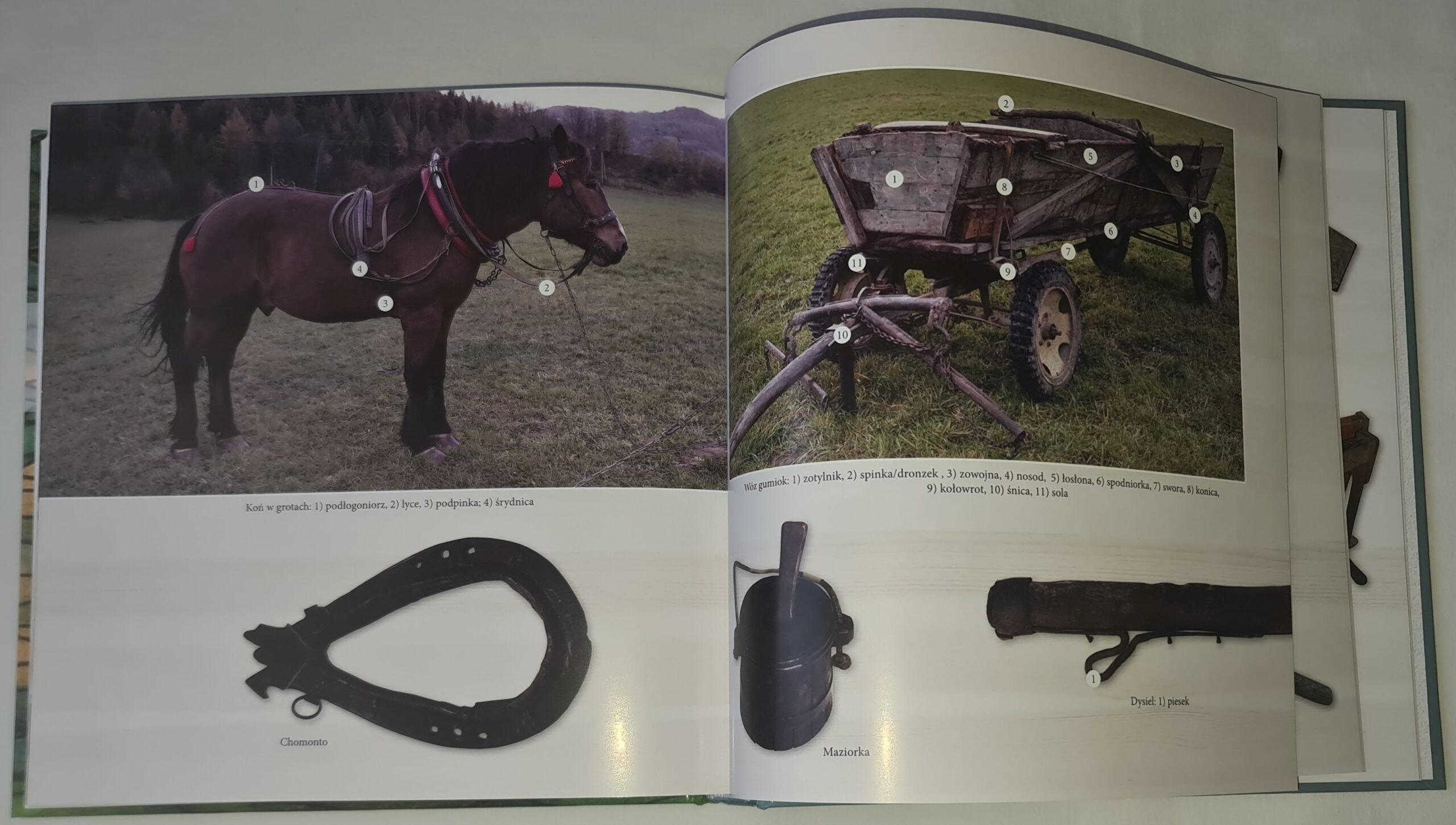 Nadpopradzka dawność. Gwara i kultura górali z okolic Piwnicznej