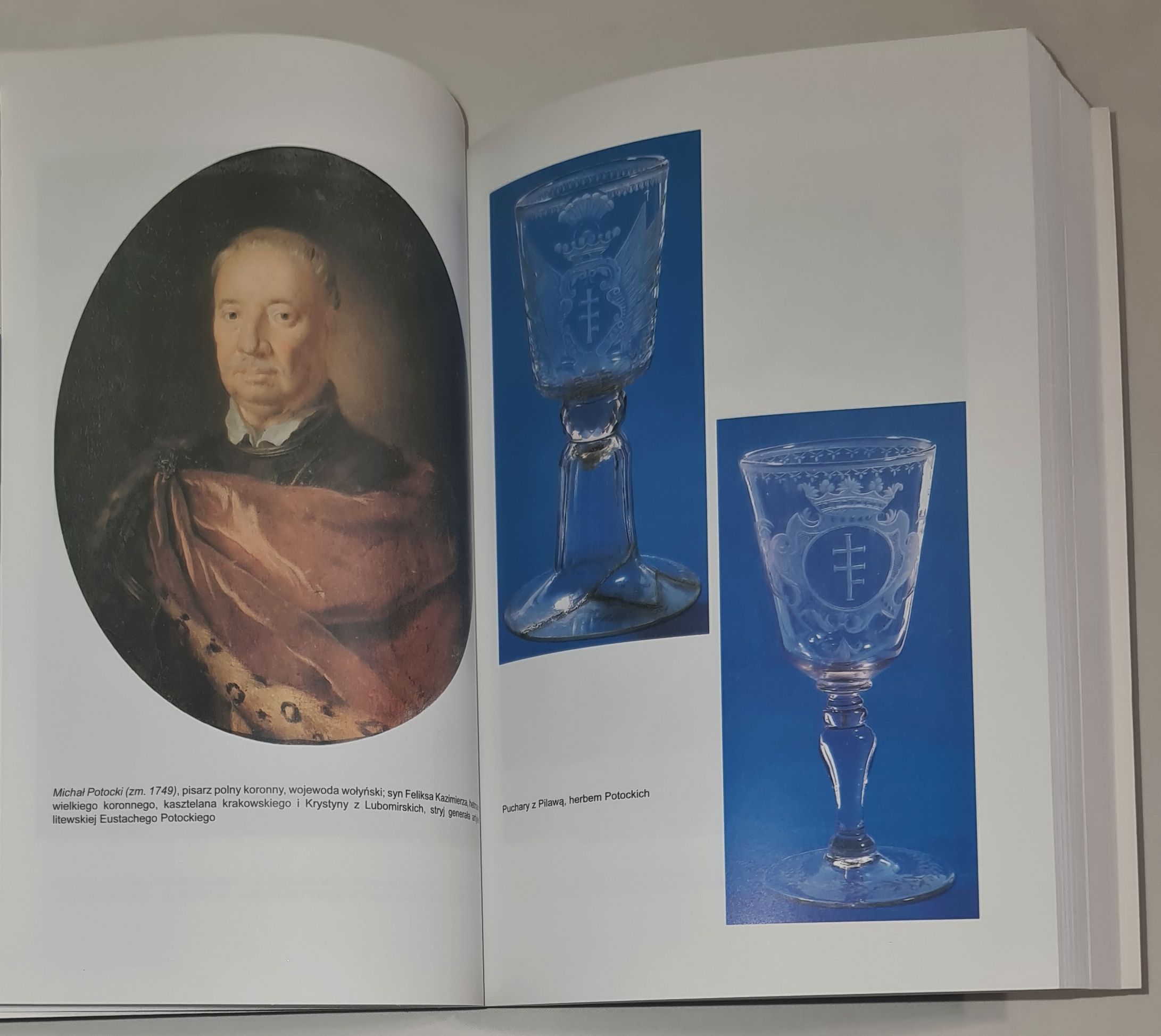 Ród Potockich w odmęcie historii (XVII-XX w.)